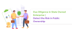 Due Diligence in State Owned Enterprise | Detect the Risk in Public Ownership