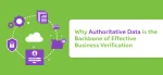 Why Authoritative Data is the Backbone of Effective Business Verification